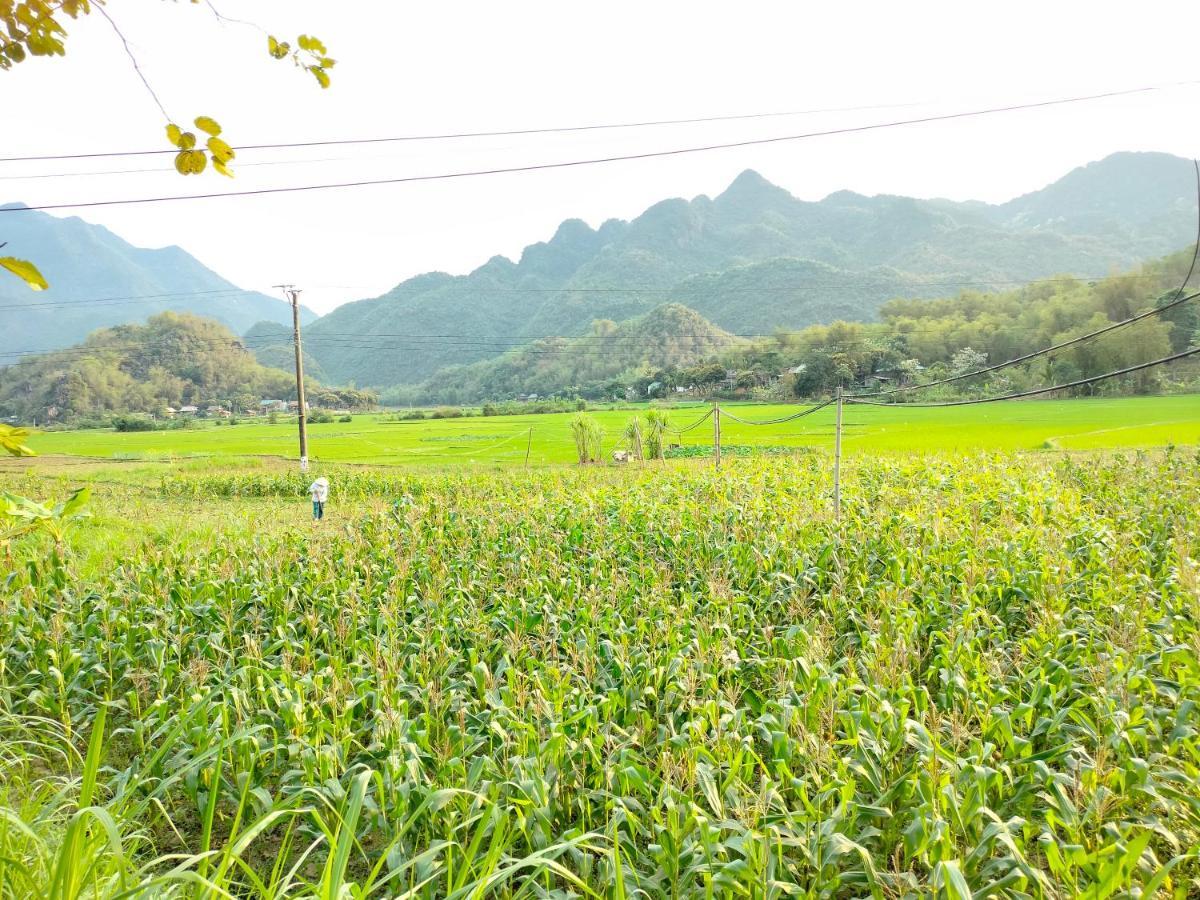 Truong Huy Homestay Mai Chau Εξωτερικό φωτογραφία